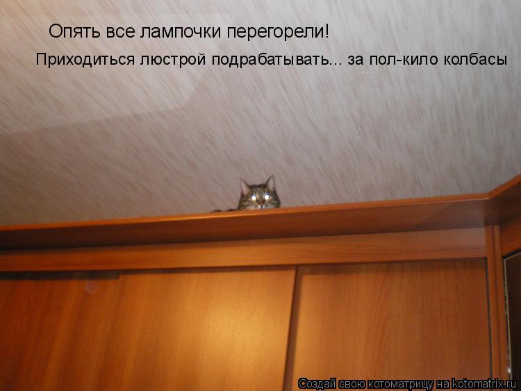 Котоматрица: Опять все лампочки перегорели! Приходиться люстрой подрабатывать... за пол-кило колбасы