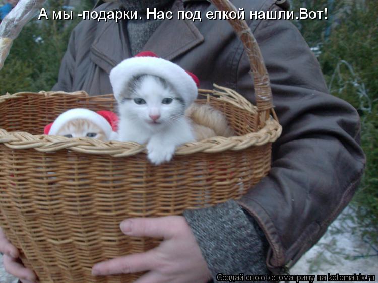 Котоматрица: А мы -подарки. Нас под елкой нашли.Вот!