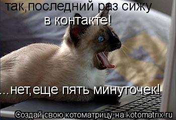 так,последний раз сижу в контакте! ...нет,еще пять минуточек!... Котоматрица: так,последний раз сижу в контакте! ...нет,еще пять минуточек!