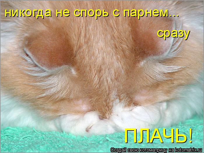 никогда не спорь с парнем... сразу ПЛАЧЬ!... Котоматрица: никогда не спорь с парнем... сразу ПЛАЧЬ!