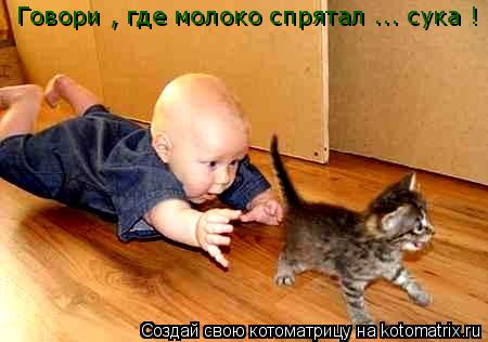 Котоматрица: Говори , где молоко спрятал ... сука !