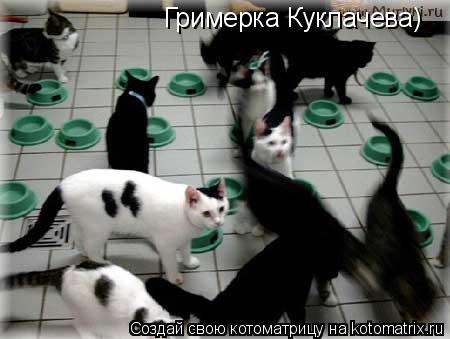 Котоматрица: Гримерка Куклачева)