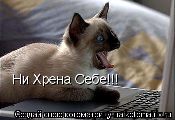 Ни Хрена Себе!!!... Котоматрица: Ни Хрена Себе!!!