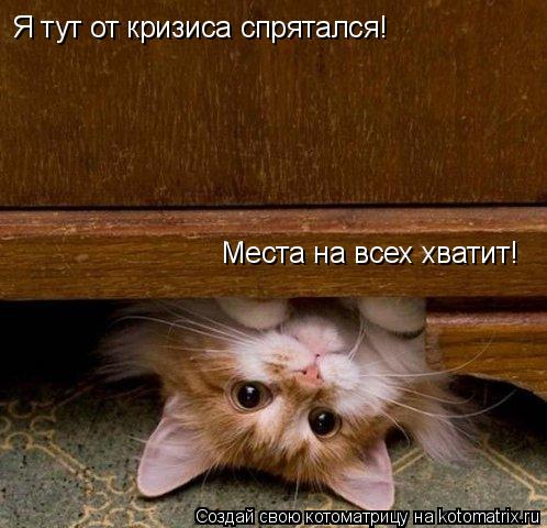 Котоматрица: Я тут от кризиса спрятался! Места на всех хватит!