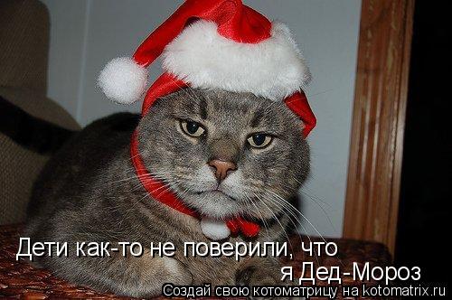 Котоматрица: Дети как-то не поверили, что я Дед-Мороз