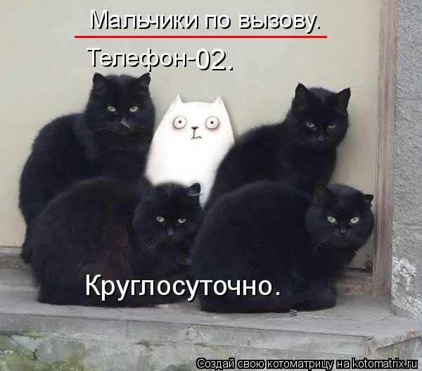 Мальчики по вызову. Телефон- 02. Круглосуточно. ________________... Котоматрица: Мальчики по вызову. Телефон- 02. Круглосуточно. ________________