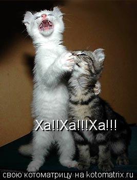 Ха!!Ха!!!Ха!!!... Котоматрица: Ха!!Ха!!!Ха!!!