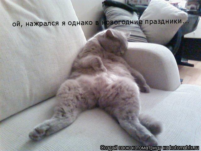 ой, нажрался я однако в новогодние праздники...... Котоматрица: ой, нажрался я однако в новогодние праздники...