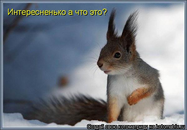 Котоматрица: Интересненько а что это?
