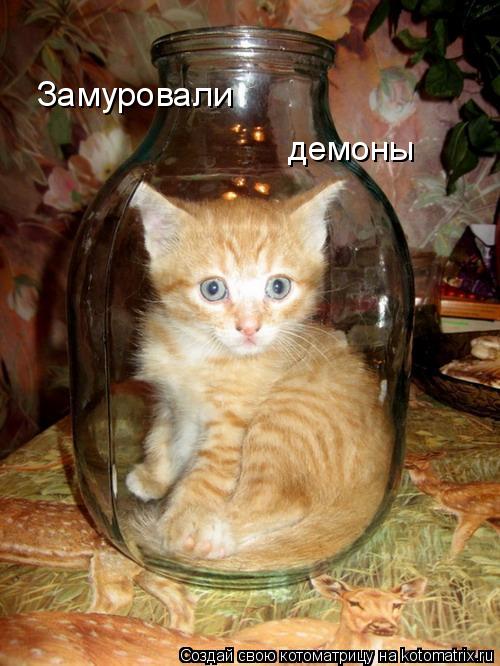 Котоматрица: Замуровали демоны