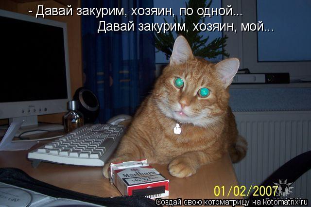 - Давай закурим, хозяин, по одной... Давай закурим, хозяин, мой...... Котоматрица: - Давай закурим, хозяин, по одной... Давай закурим, хозяин, мой...