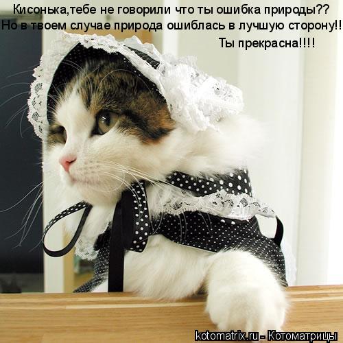 Котоматрица: Кисонька,тебе не говорили что ты ошибка природы?? Но в твоем случае природа ошиблась в лучшую сторону!! Ты прекрасна!!!!