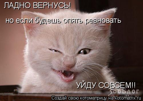 ЛАДНО ВЕРНУСЬ! но если будешь опять ревновать УЙДУ СОВСЕМ!!... Котоматрица: ЛАДНО ВЕРНУСЬ! но если будешь опять ревновать УЙДУ СОВСЕМ!!