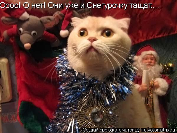 Котоматрица: Оооо! О нет! Они уже и Снегурочку тащат....
