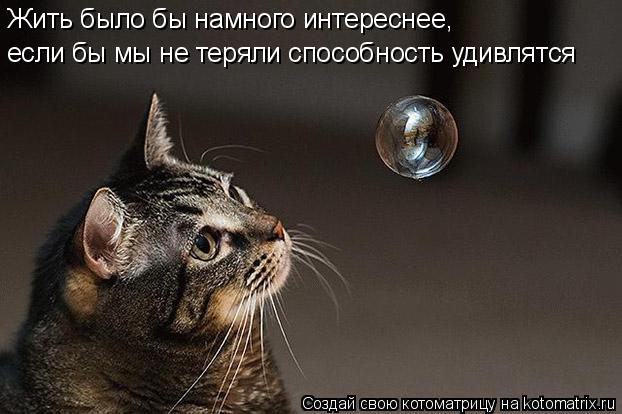 Котоматрица: Жить было бы намного интереснее, если бы мы не теряли способность удивлятся