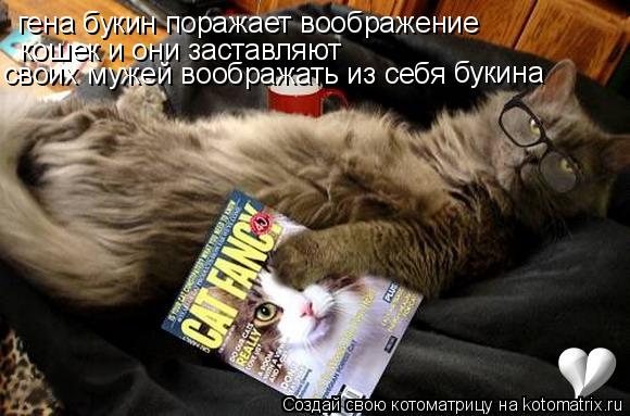 гена букин поражает воображение кошек и они заставляют своих мужей воображать из себя букина... Котоматрица: гена букин поражает воображение кошек и они заставляют своих мужей воображать из себя букина