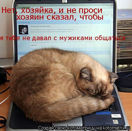 Котоматрица: Нет, хозяйка, и не проси хозяин сказал, чтобы я тебе не давал с мужиками общаться