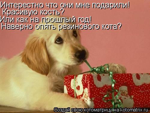 Котоматрица: Интерестно что они мне подарили! Красивую кость? Или как на прошлый год! Наверно опять резинового кота?