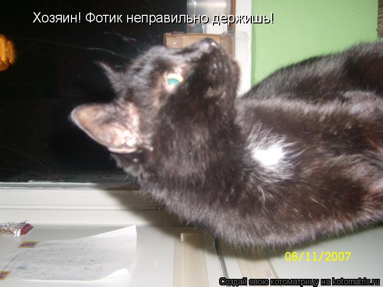 Котоматрица: Хозяин! Фотик неправильно держишь!