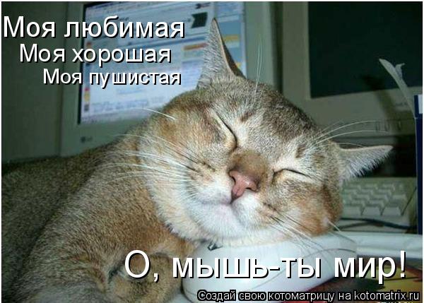 Моя любимая Моя хорошая Моя пушистая О, мышь-ты мир!... Котоматрица: Моя любимая Моя хорошая Моя пушистая О, мышь-ты мир!