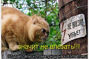 значит не влезать!!!... Котоматрица: значит не влезать!!!