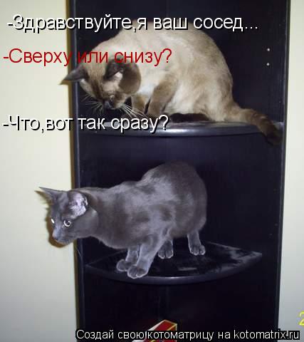 -Здравствуйте,я ваш сосед... -Сверху или снизу? -Что,вот так сразу?... Котоматрица: -Здравствуйте,я ваш сосед... -Сверху или снизу? -Что,вот так сразу?