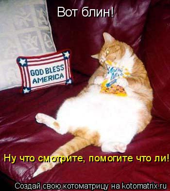 Вот блин! Ну что смотрите, помогите что ли!... Котоматрица: Вот блин! Ну что смотрите, помогите что ли!