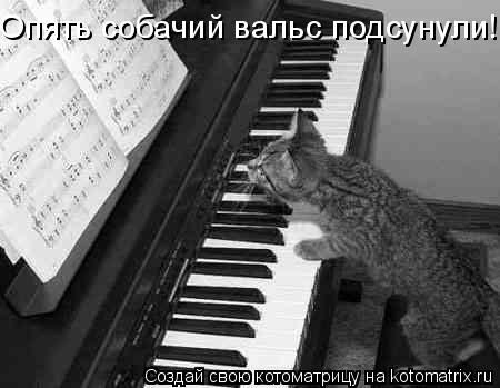 Опять собачий вальс подсунули!... Котоматрица: Опять собачий вальс подсунули!