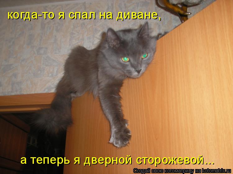 когда-то я спал на диване, а теперь я дверной сторожевой...... Котоматрица: когда-то я спал на диване, а теперь я дверной сторожевой...