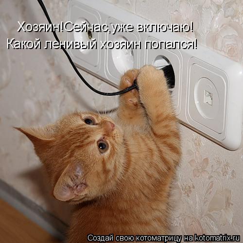 Хозяин!Сейчас,уже включаю! Какой ленивый хозяин попался!... Котоматрица: Хозяин!Сейчас,уже включаю! Какой ленивый хозяин попался!