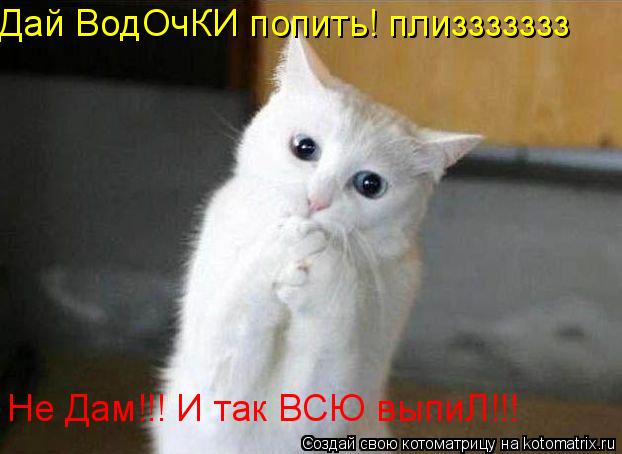 Котоматрица: Дай ВодОчКИ попить! плиззззззз Не Дам!!! И так ВСЮ выпиЛ!!!