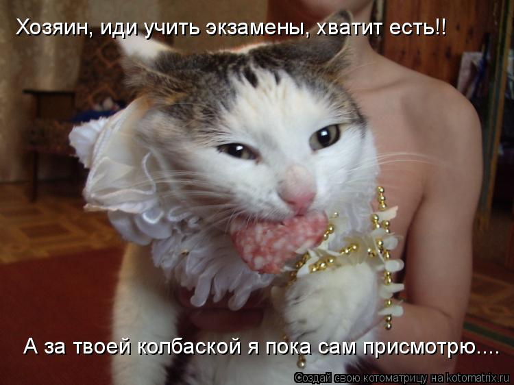 Хозяин, иди учить экзамены, хватит есть!! А за твоей колбаской я пока сам присмотрю....... Котоматрица: Хозяин, иди учить экзамены, хватит есть!! А за твоей колбаской я пока сам присмотрю....