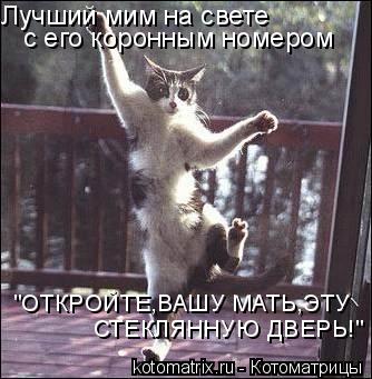 Лучший мим на свете с его коронным номером "ОТКРОЙТЕ,ВАШУ МАТЬ,ЭТУ СТЕКЛЯННУЮ ДВЕРЬ!"... Котоматрица: Лучший мим на свете с его коронным номером "ОТКРОЙТЕ,ВАШУ МАТЬ,ЭТУ СТЕКЛЯННУЮ ДВЕРЬ!"