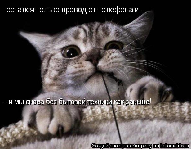 Котоматрица: остался только провод от телефона и ... ...и мы снова без бытовой техники как раньше!