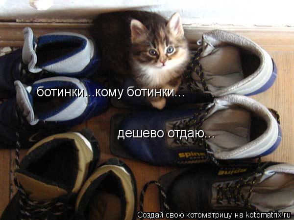 Котоматрица: ботинки...кому ботинки... дешево отдаю...