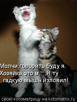 Молчи,говорить буду я. Хозяйка,это м...,Я ту гадкую мышь изловил!... Котоматрица: Молчи,говорить буду я. Хозяйка,это м...,Я ту гадкую мышь изловил!