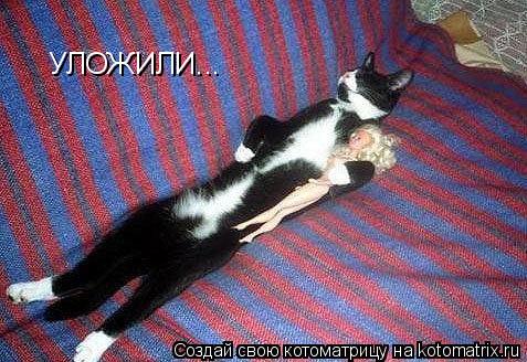Котоматрица: УЛОЖИЛИ...