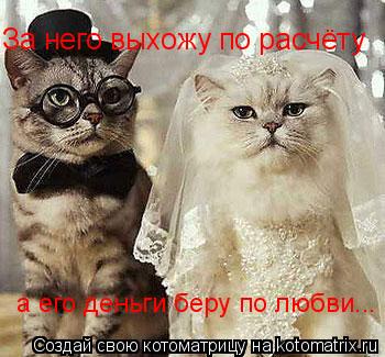 Котоматрица: За него выхожу по расчёту а его деньги беру по любви...