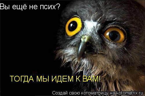 Вы ещё не псих? ТОГДА МЫ ИДЕМ К ВАМ!... Котоматрица: Вы ещё не псих? ТОГДА МЫ ИДЕМ К ВАМ!