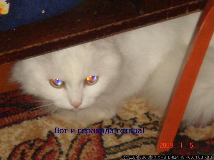 Котоматрица: Вот и герлянда готова!
