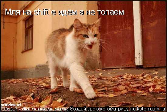 Мля на shift`e идём а не топаем... Котоматрица: Мля на shift`e идём а не топаем
