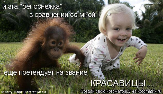 и эта "белоснежка" в сравнении со мной КРАСАВИЦЫ... еще претендует на звание... Котоматрица: и эта "белоснежка" в сравнении со мной КРАСАВИЦЫ... еще претендует на звание
