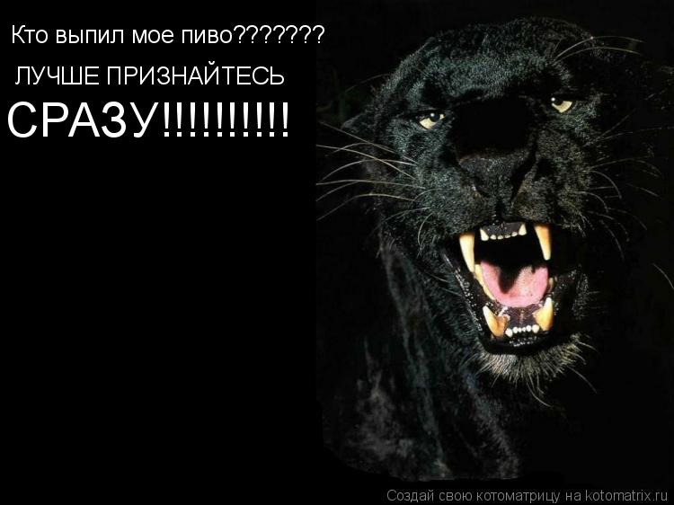 Котоматрица: Кто выпил мое пиво??????? ЛУЧШЕ ПРИЗНАЙТЕСЬ СРАЗУ!!!!!!!!!!