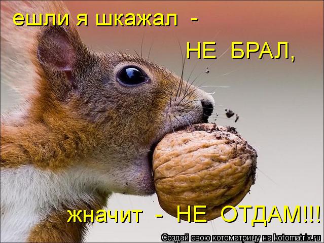ешли я шкажал - НЕ БРАЛ, жначит - НЕ ОТДАМ!!!... Котоматрица: ешли я шкажал - НЕ БРАЛ, жначит - НЕ ОТДАМ!!!