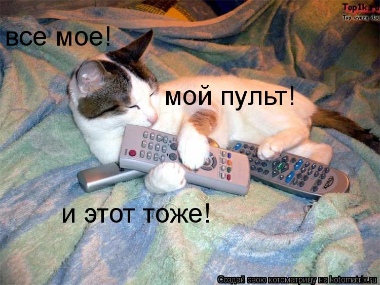 Котоматрица: мой пульт! и этот тоже! все мое!