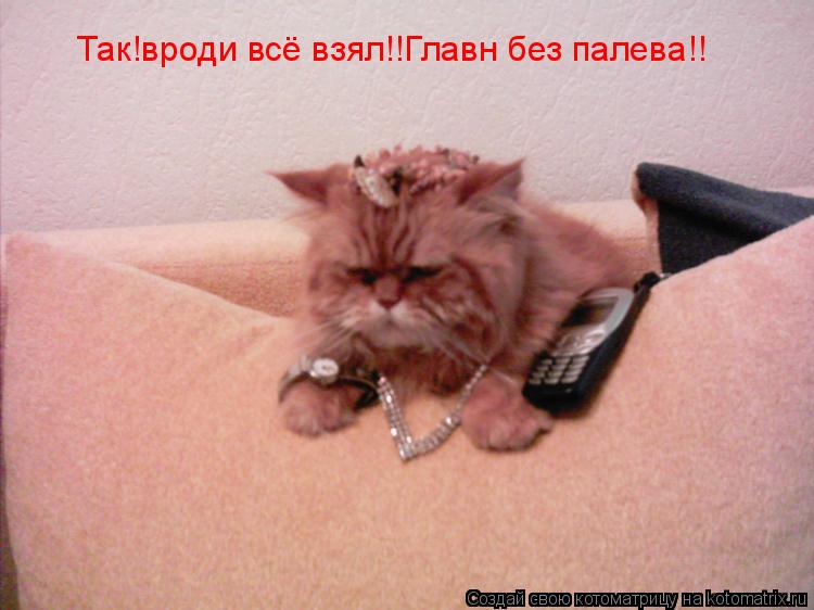 Котоматрица: Так!вроди всё взял!!Главн без палева!!