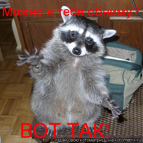 Можно я тебя обниму? ВОТ ТАК!... Котоматрица: Можно я тебя обниму? ВОТ ТАК!