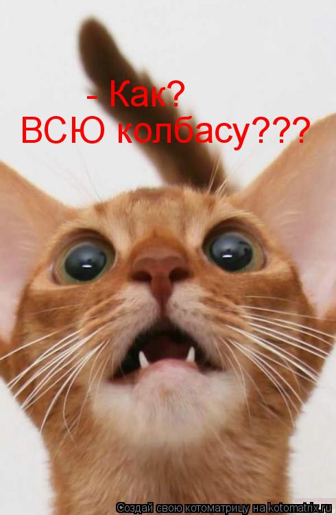 ВСЮ колбасу??? - Как?... Котоматрица: ВСЮ колбасу??? - Как?