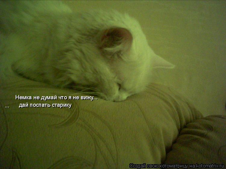 Котоматрица: Немка не думай что я не вижу... дай поспать старику ...