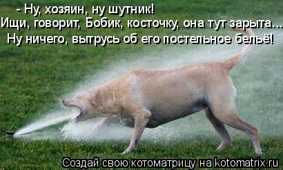 Котоматрица: - Ну, хозяин, ну шутник! Ищи, говорит, Бобик, косточку, она тут зарыта... Ну ничего, вытрусь об его постельное бельё!